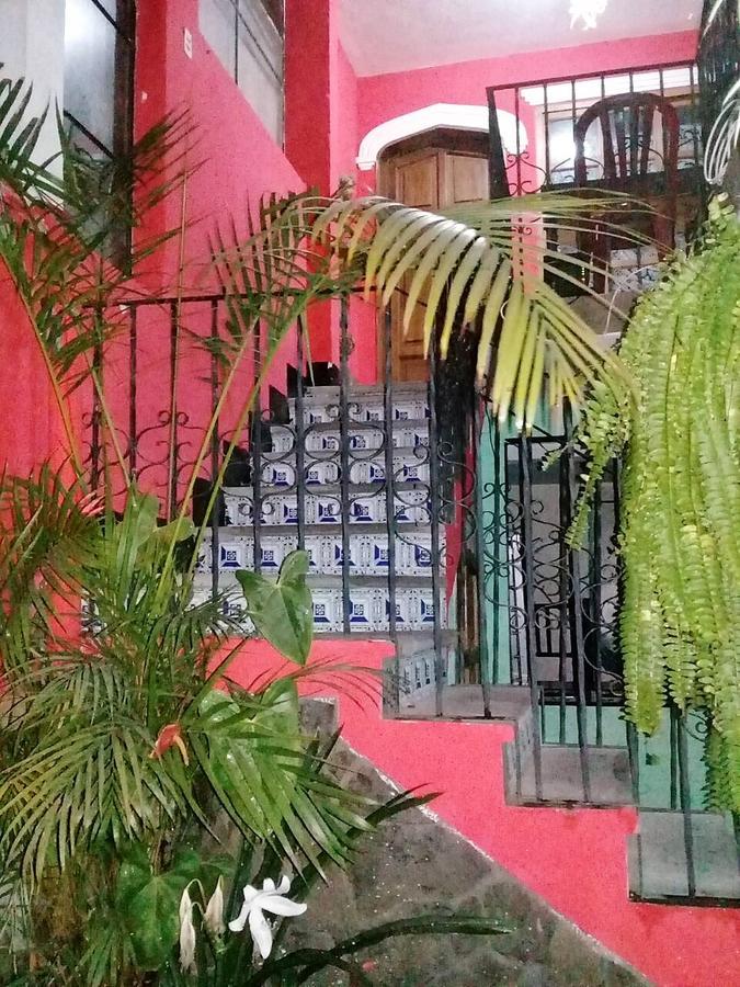 La Vieja Terraza Hostel Antigua Bagian luar foto