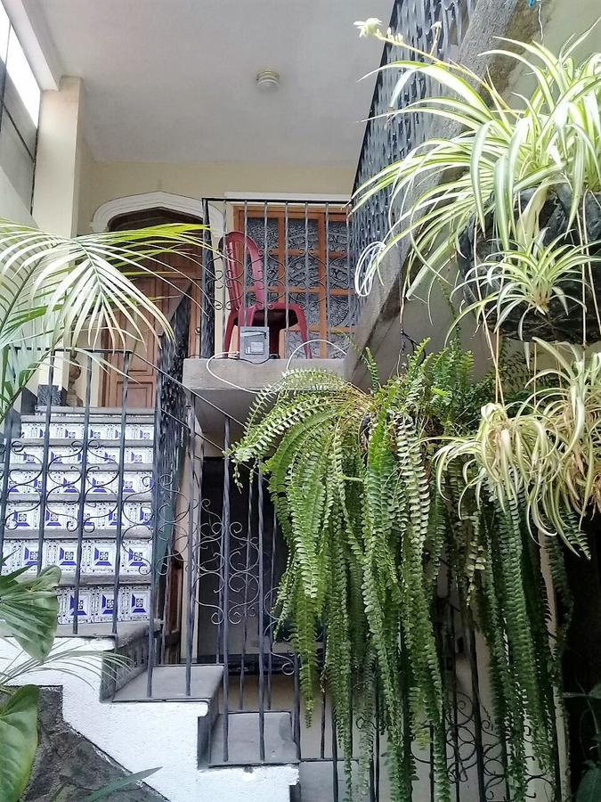 La Vieja Terraza Hostel Antigua Bagian luar foto